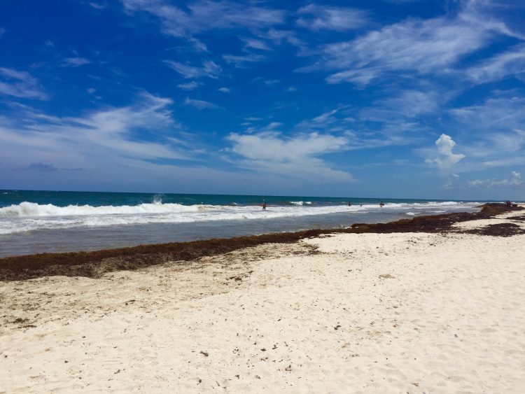 Top 5 things for tourists to know about Tulum in September 1 Top 5 things for tourists to know about Tulum in September