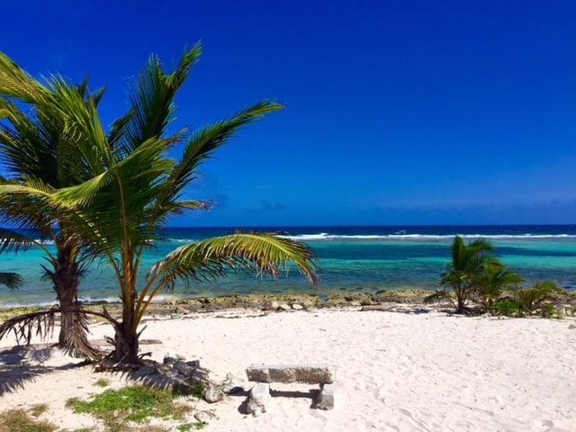 mahahual-beach-bench