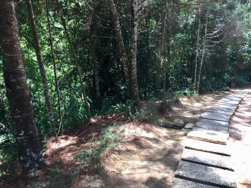 the trail on the hike down to the dalat waterfall features wooden plank steps