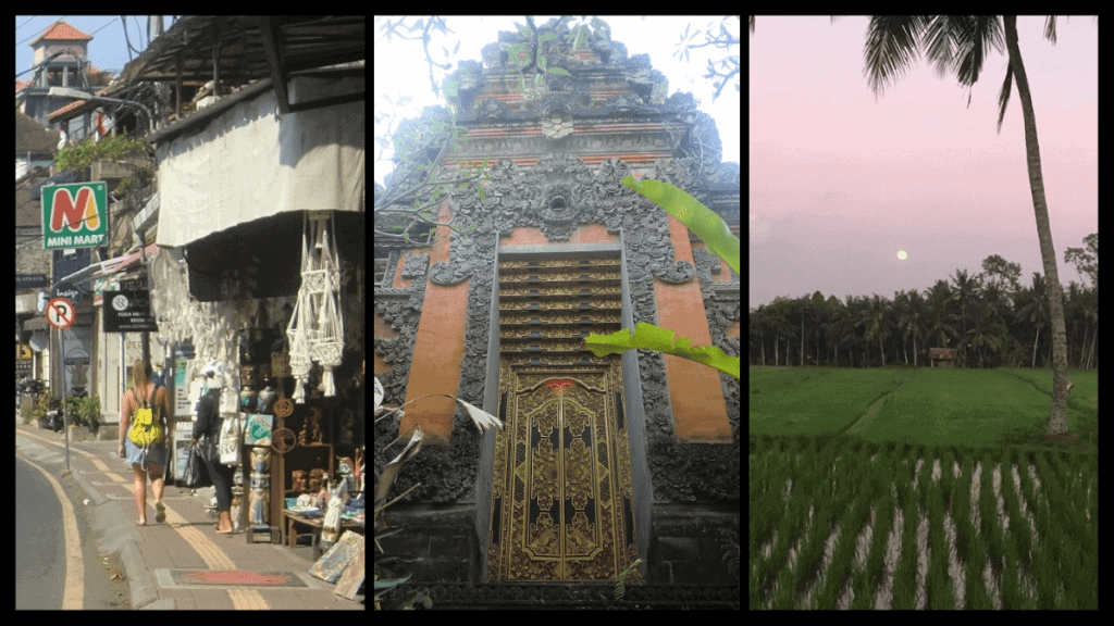 tourist street in Ubud, temple shot, and rice field just outside the city center