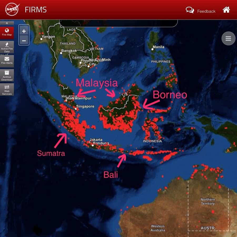 a NASA image that shows where the world is burning with malaysia, borneo, indonesia labeled