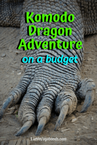 Remarkable Komodo Island adventure 2 Remarkable Komodo Island adventure 1