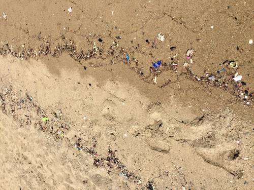 trashy christmas tree decorations come from plastic trash in the sand - like these bits on the shore