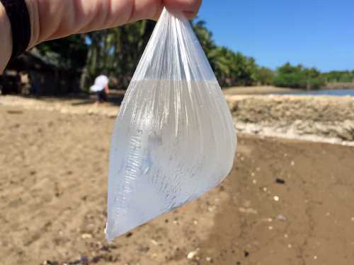 a plastic bag filled with water held up to the sun