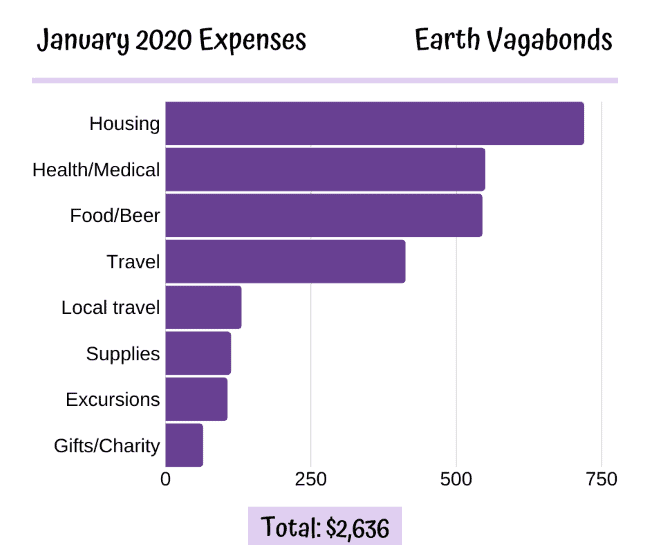 retired and traveling - and over budget (bar graph with the following info):
$719  Housing
$549  Health/Medical
$544  Food & Drink
$412  Travel
$130  Local Travel
$112  Supplies
$106  Excursions
$64   Gifts & Charity