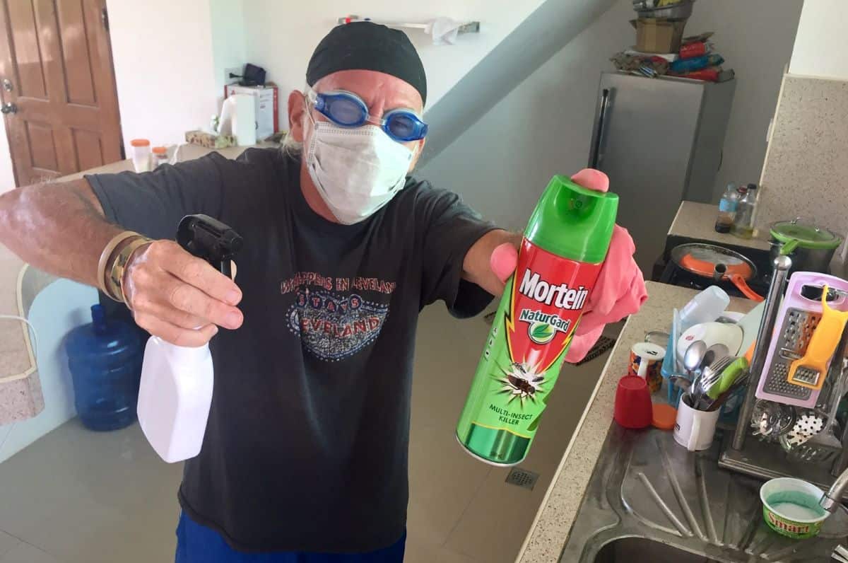 tedly is at war with ants - holding bug spray and wearing protective gear