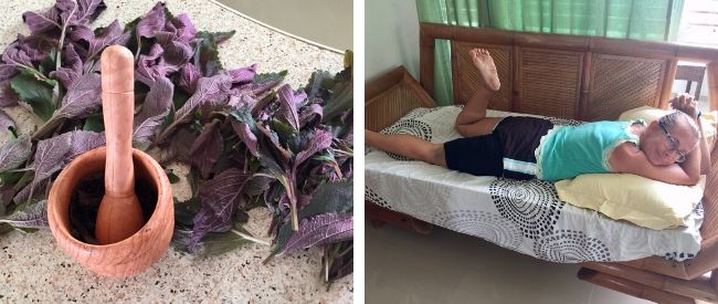 the purple herbal plant as a local gift to help heal ellen's bruised leg