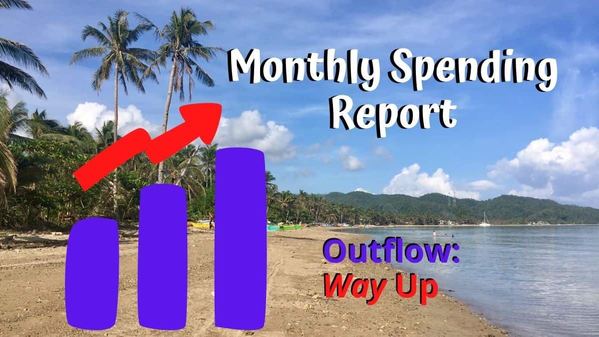 Earth Vagabonds expense report for June 2020