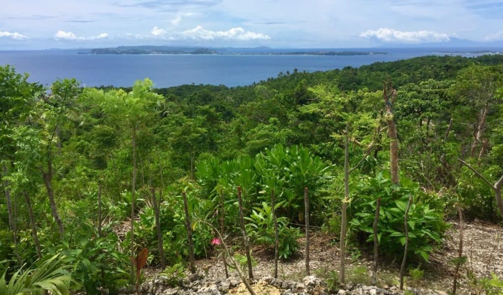 amazing views on mainland malay at tuhaw hills