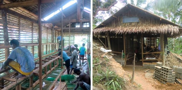 The egg economics breakdown on the Ati hen house projet includes the costs to rebuild a structure destroyed by a typhoon.