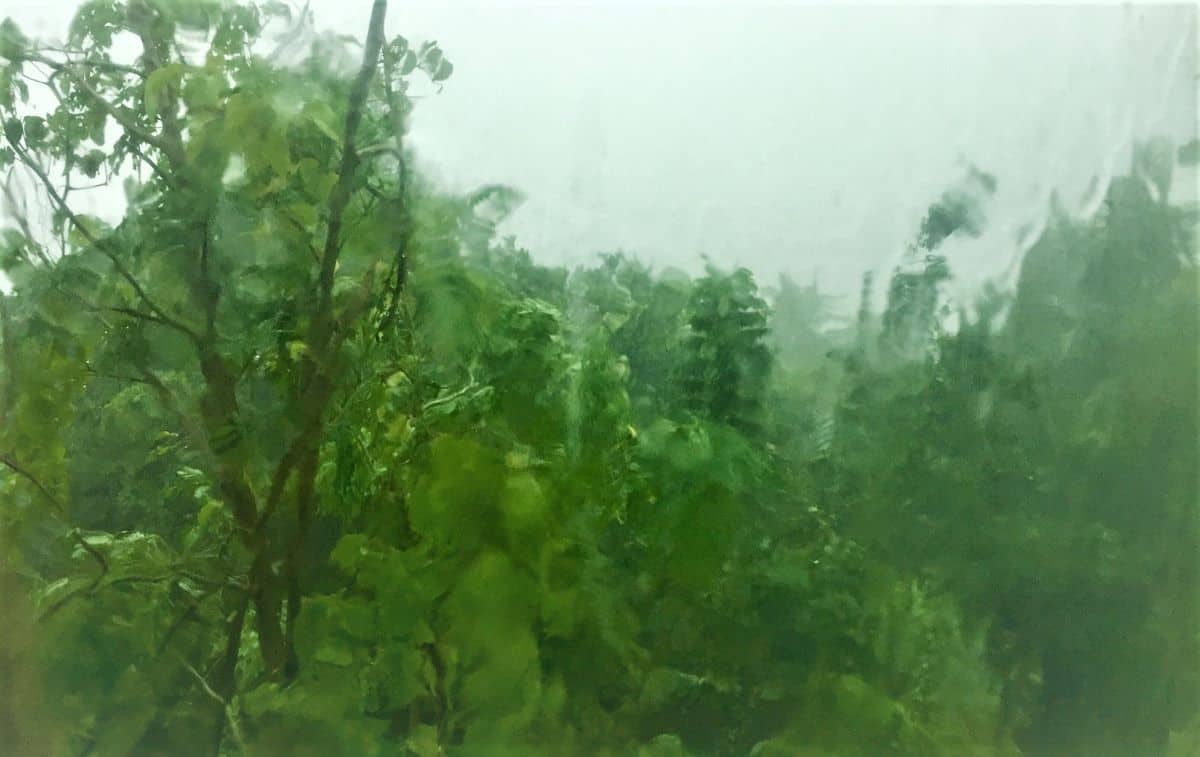 Typhoon in malay